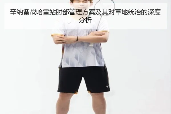 辛纳备战哈雷站肘部管理方案及其对草地统治的深度分析 | hth.com